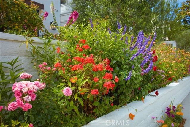 235 Poppy Avenue, Corona del Mar CA: https://media.crmls.org/medias/a65014ea-2db3-48b8-8e03-b69842e3db1e.jpg