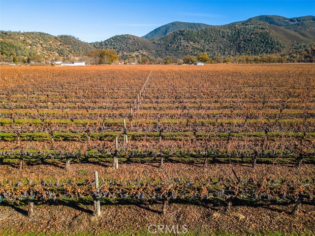 Detail Gallery Image 24 of 26 For 4150 Gaddy Ln, Kelseyville,  CA 95451 - – Beds | – Baths