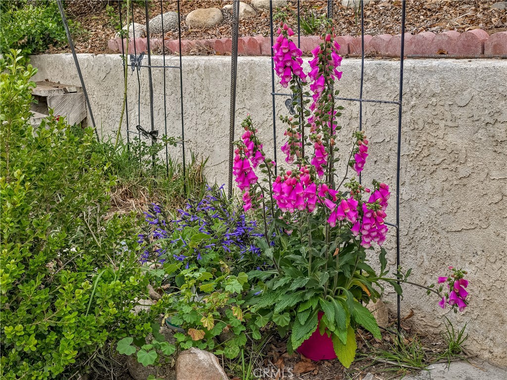 https://media.crmls.org/medias/a655eba9-fb62-4cc2-bf0b-ce1826d23c61.jpg?preset=X-Large