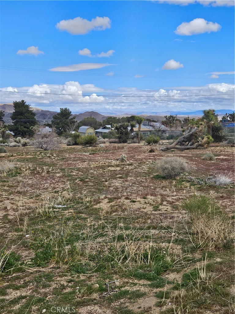 MLS #JT24046912 image #3