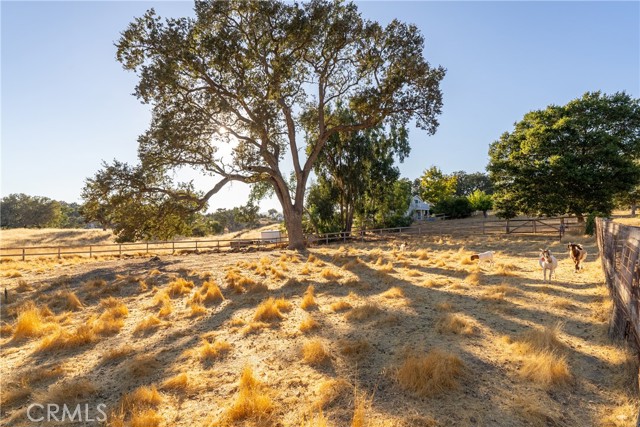 Detail Gallery Image 55 of 65 For 1285 Beaver Creek Ln, Paso Robles,  CA 93446 - 4 Beds | 3 Baths