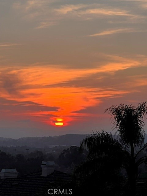Image 5 of 14 For 21581 Hummingbird
