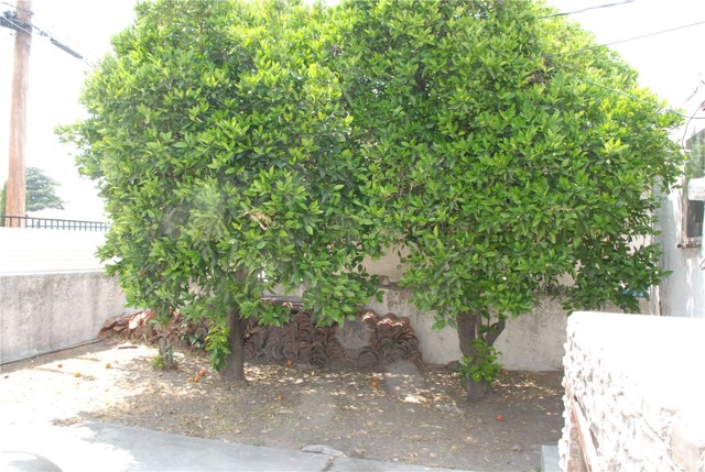 Detail Gallery Image 16 of 18 For 763 W 21st St, San Bernardino,  CA 92405 - 3 Beds | 2 Baths
