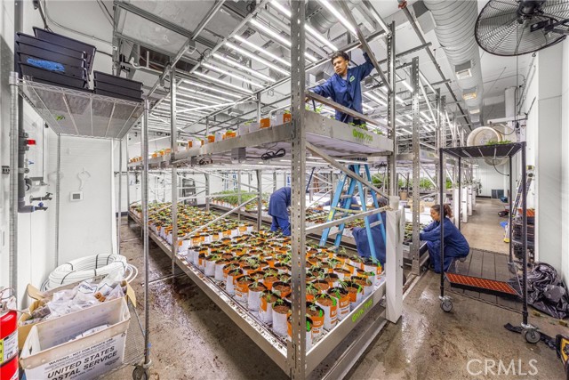 Image 39 of 54 For 44211 Yucca