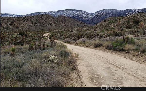 Detail Gallery Image 11 of 13 For 0 Vic Ave Y8 160 Ste, Littlerock,  CA 93544 - – Beds | – Baths