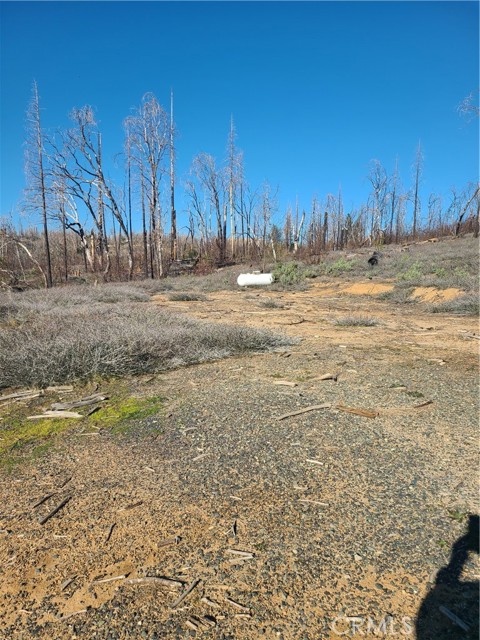 Detail Gallery Image 5 of 10 For 81 Green Cedar, Berry Creek,  CA 95916 - – Beds | – Baths