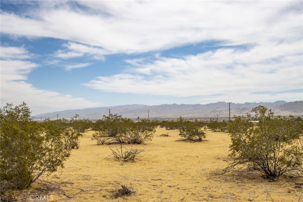 MLS #JT25261609 image #7