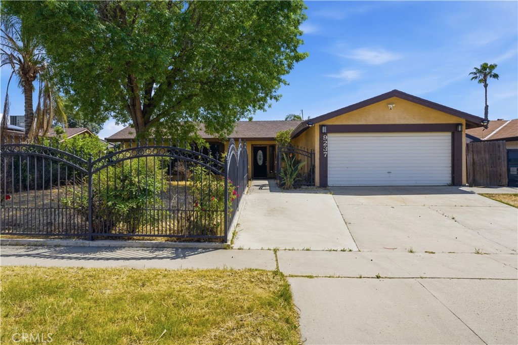 9237 Butternut
