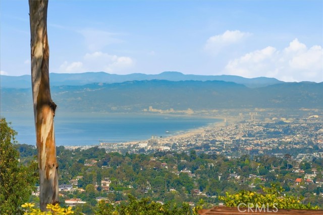 Image 3 of 66 For 100 Saddleback