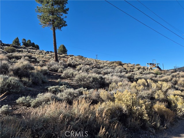 Detail Gallery Image 6 of 11 For 0 Rustic Canyon, Big Bear City,  CA 92314 - – Beds | – Baths