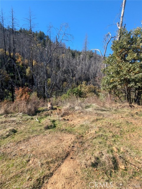 Detail Gallery Image 28 of 38 For 1833 Hunter Point Rd, Upper Lake,  CA 95485 - – Beds | – Baths