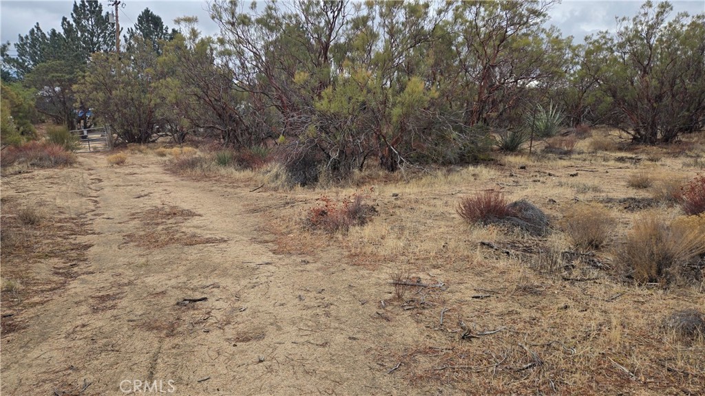 0 Springs Trail