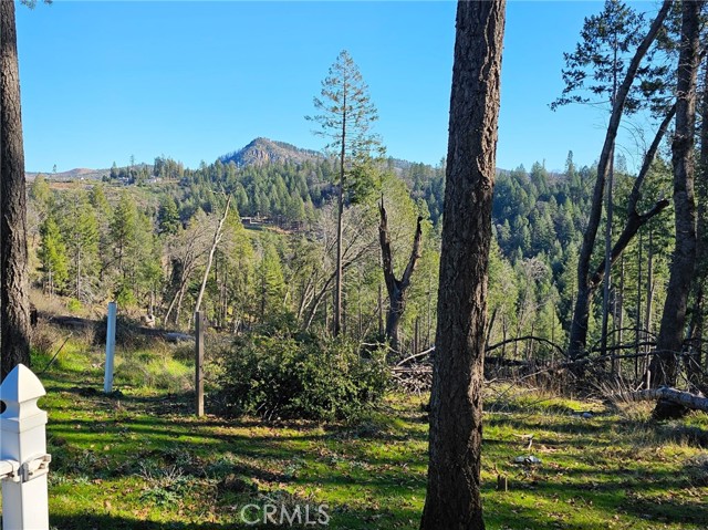 Detail Gallery Image 12 of 12 For 13680 Andover, Magalia,  CA 95954 - – Beds | – Baths