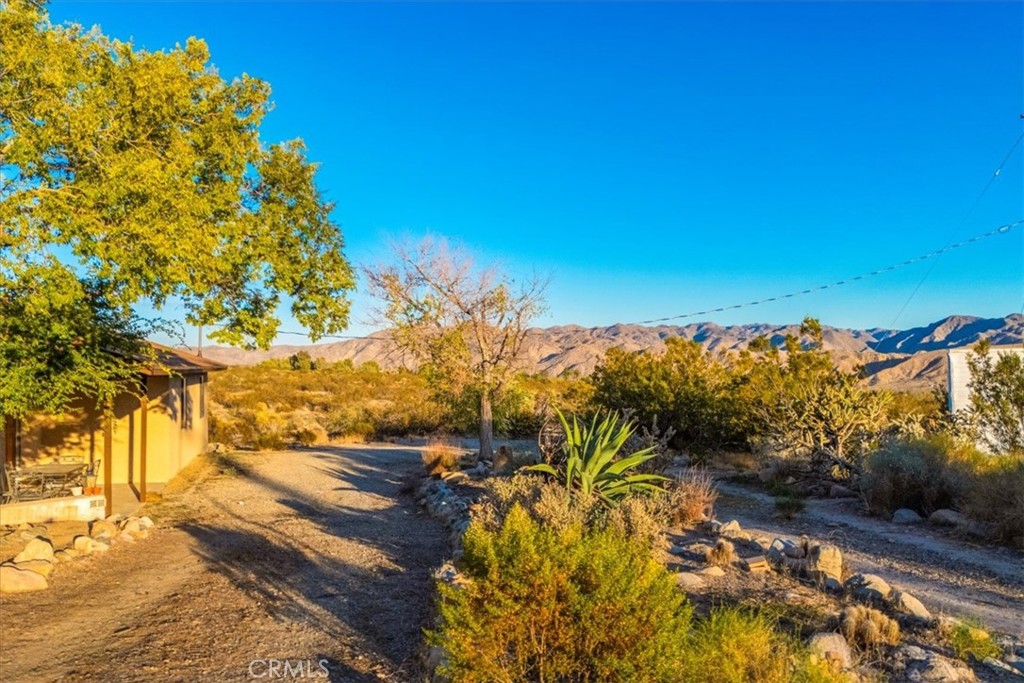 MLS #JT25260931 image #47