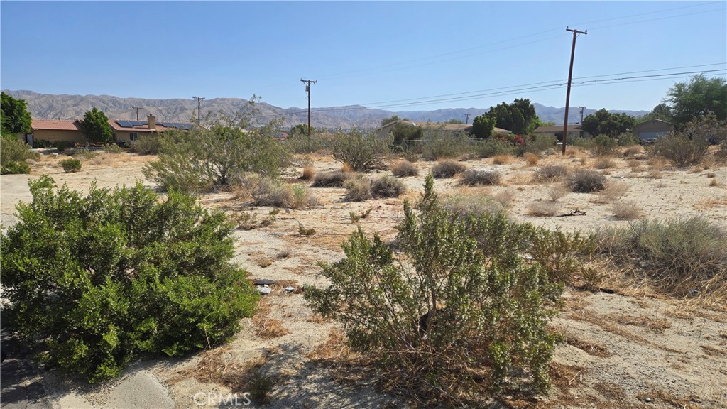 MLS #NP25135522 img 7