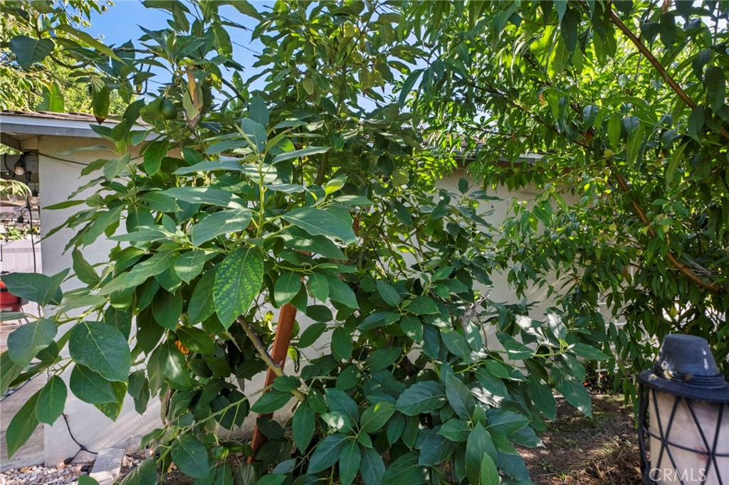 https://media.crmls.org/medias/a68d405a-aef8-4841-bbcf-70286e9b2214.jpg?preset=X-Large