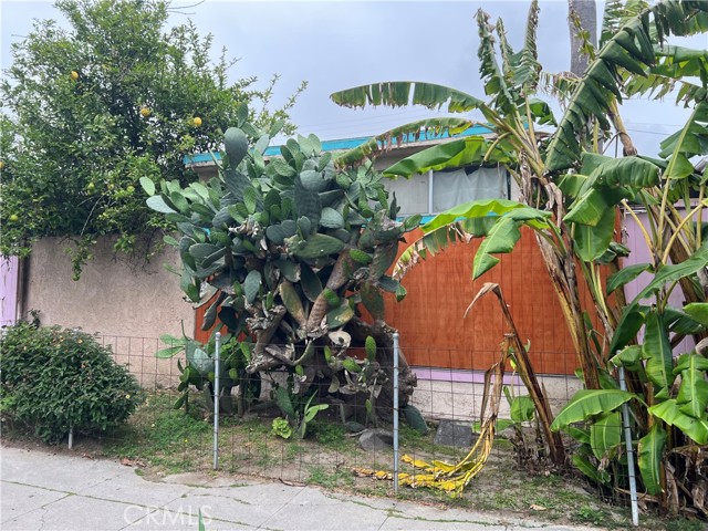 Detail Gallery Image 3 of 5 For 1137 Cabrillo Ave, Venice,  CA 90291 - 2 Beds | 1 Baths