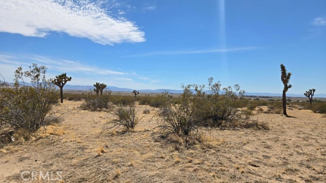 Image 2 of 21 For 0 147th St E Vicinity Capleton D