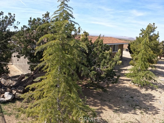 Detail Gallery Image 29 of 67 For 30000 Buchannon Ranch Rd, Llano,  CA 93544 - 3 Beds | 2 Baths