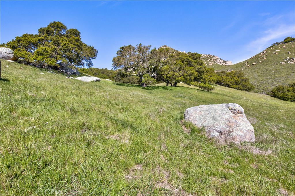 MLS #SC25063085 image #40