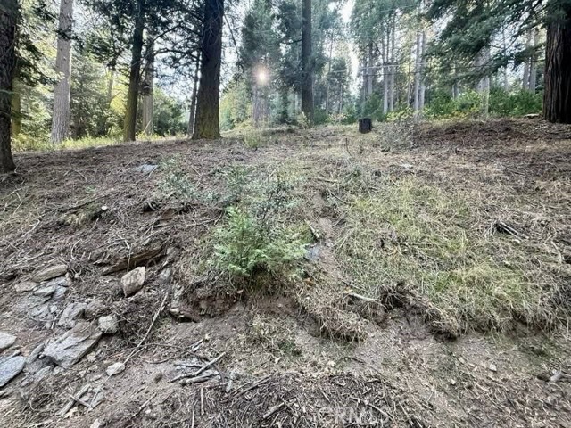 0 Burnt Mill Canyon Road, Cedarpines Park CA: https://media.crmls.org/medias/a69d3dac-146d-449d-8e9e-90305a15b733.jpg