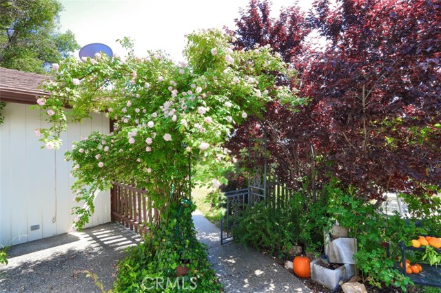 Detail Gallery Image 44 of 75 For 44800 Ahwahnee Acres Rd, Ahwahnee,  CA 93601 - 4 Beds | 2 Baths