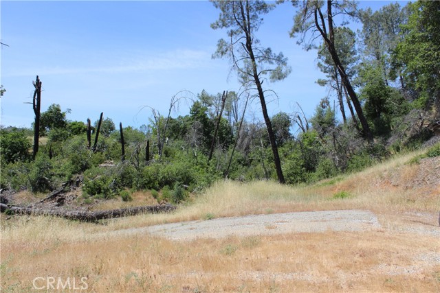 Detail Gallery Image 3 of 45 For 10255 Carrousel Dr, Redding,  CA 96001 - – Beds | – Baths
