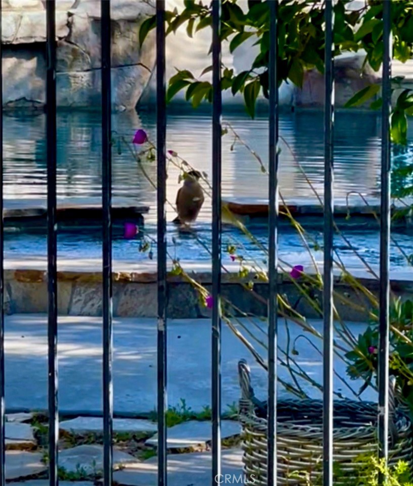 https://media.crmls.org/medias/a6a67186-9827-4625-af67-d088aaf6d9ba.jpg?preset=X-Large