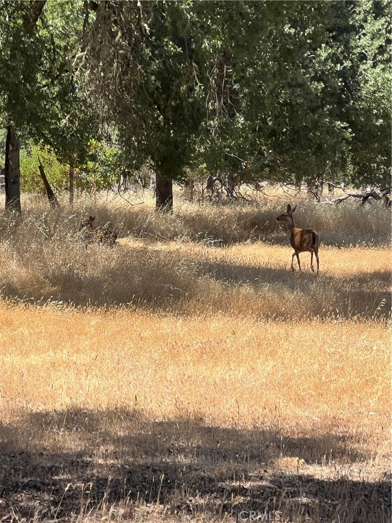 https://media.crmls.org/medias/a6a6e1c9-bc3c-478f-b87d-f87fee21a361.jpg?preset=X-Large