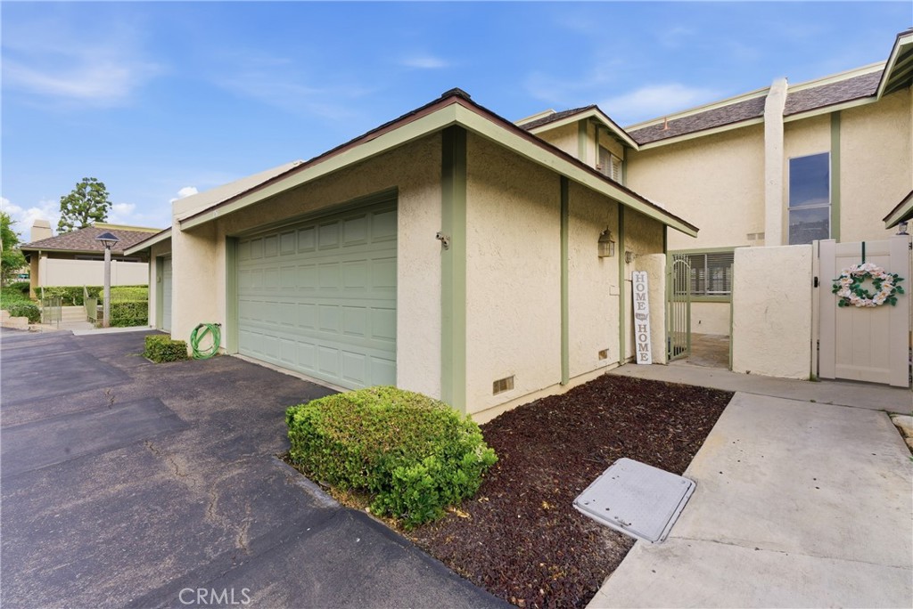 1751 Silver Maple