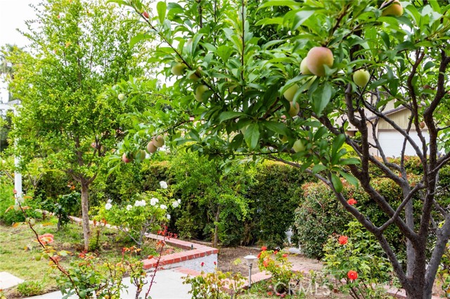 1717 Morning Sun Avenue, Walnut CA: https://media.crmls.org/medias/a6b69c74-bc7e-4e31-87cf-bc003a06a79e.jpg