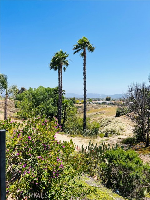 38445 Via Taffia, Murrieta CA: https://media.crmls.org/medias/a6ba9812-eee8-444e-8ef8-7d1325d6fec6.jpg
