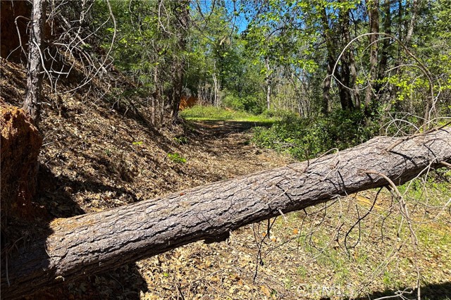 Detail Gallery Image 10 of 29 For 21138 Big Oak Ln, Lakehead,  CA 96051 - – Beds | – Baths