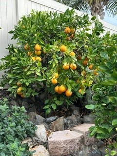https://media.crmls.org/medias/a6c4799c-a069-4212-9910-c66ff7040d6e.jpg?preset=X-Large