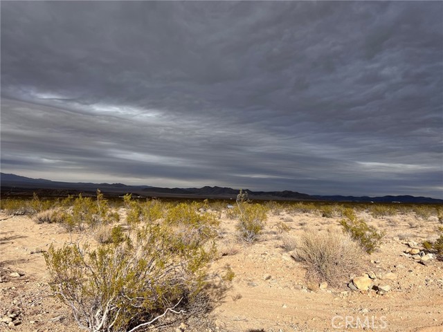 1 Ocotillo, Landers, CA, 92285 1 Ocotillo, Landers, CA, 92285