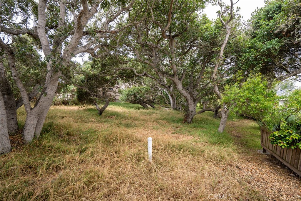 MLS #SC25145989 image #7