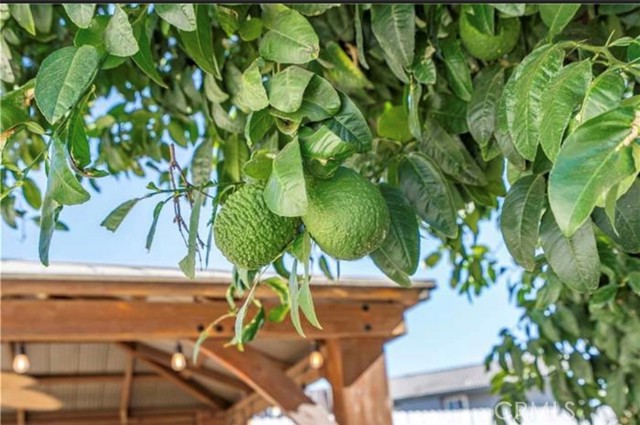 Detail Gallery Image 23 of 23 For 23685 Cold, Moreno Valley,  CA 92557 - 2 Beds | 1 Baths