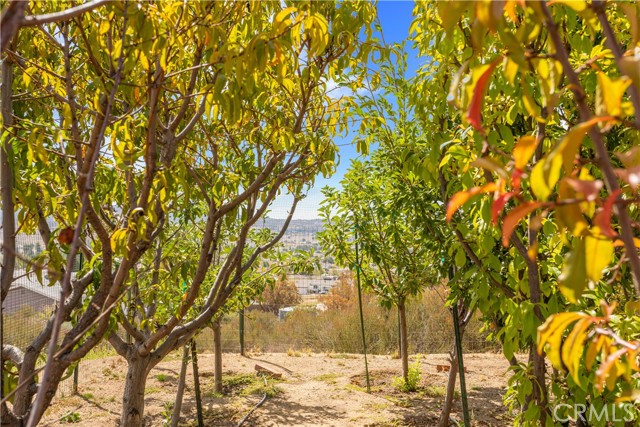 Detail Gallery Image 39 of 68 For 40135 N Caliente Rd, Aguanga,  CA 92536 - 3 Beds | 2 Baths