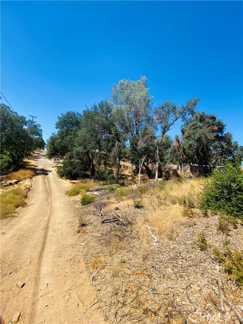 15840 20th Avenue, Clearlake, California 95422, ,Land,For Sale,15840 20th Avenue,CRLC23183632