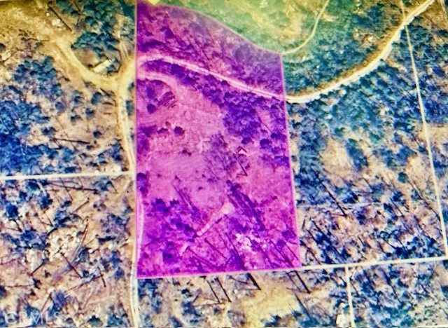 Detail Gallery Image 2 of 2 For 0 Craig Access, Feather Falls,  CA 95940 - – Beds | – Baths