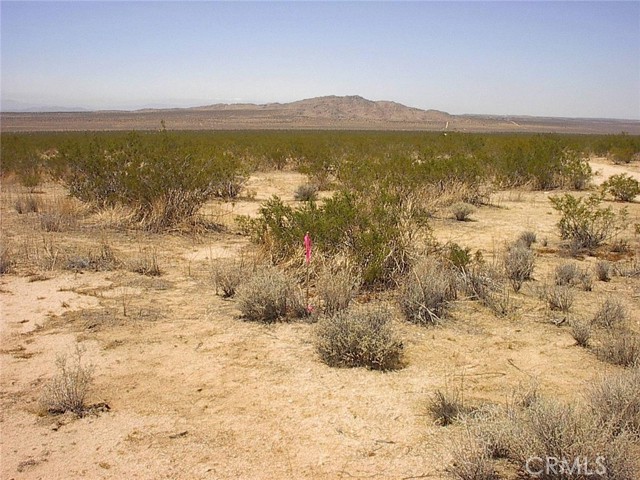 Detail Gallery Image 13 of 31 For 0 Cherry Rd, El Mirage,  CA 92301 - – Beds | – Baths