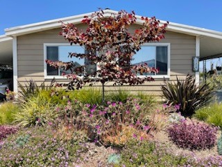 Detail Gallery Image 1 of 11 For 124 Poinsettia Gardens Dr #124,  Ventura,  CA 93004 - 2 Beds | 2 Baths