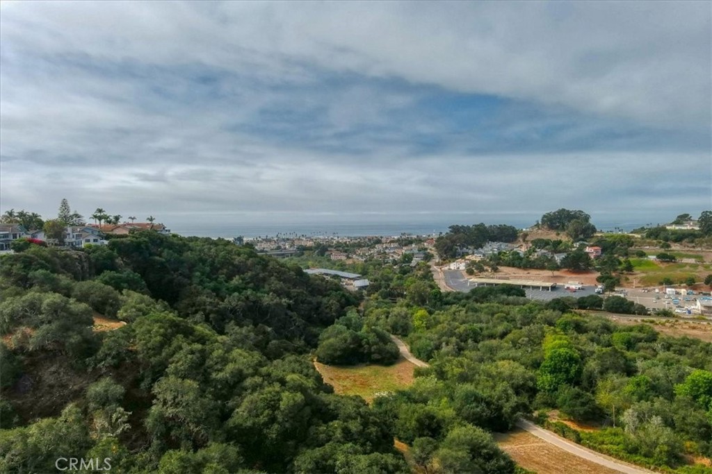 MLS #PI25233278 image #53