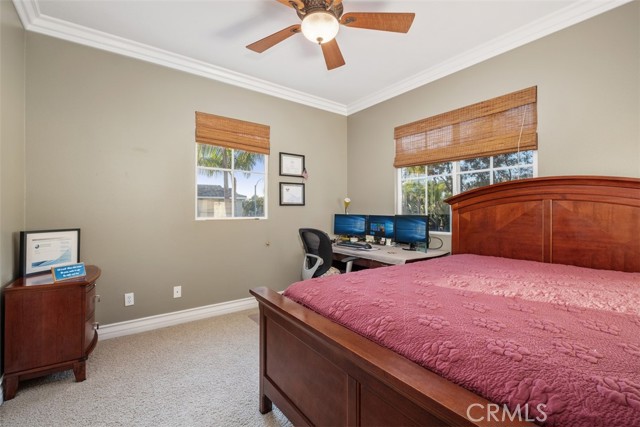 Image 28 of 57 For 30 Acanthus  