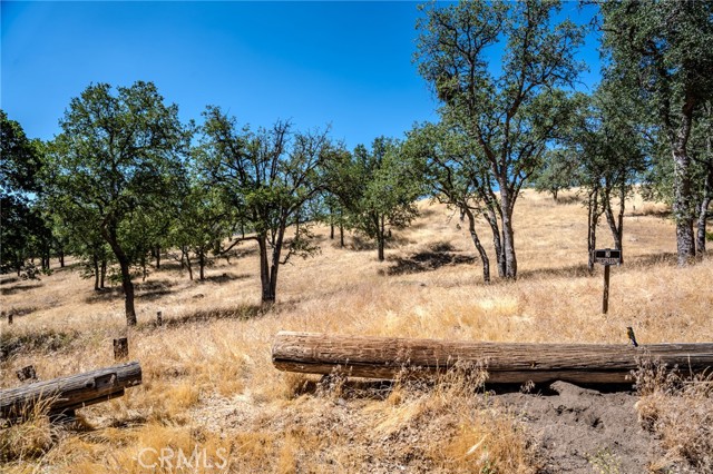 0 Armed Court, Tehachapi CA: https://media.crmls.org/medias/a6f505bc-b540-470b-9b48-ebf21a218733.jpg