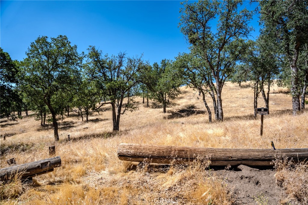 MLS #PI25150559 img 8