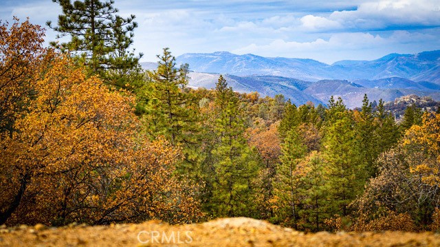 Detail Gallery Image 58 of 72 For 5333 Wilderness View Dr, Mariposa,  CA 95338 - 2 Beds | 2 Baths