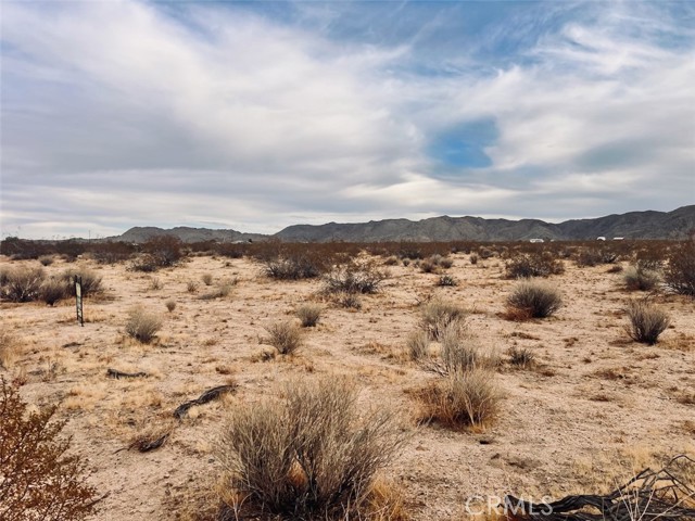 Detail Gallery Image 6 of 7 For 0 Ocotillo Rd, Johnson Valley,  CA 92285 - – Beds | – Baths