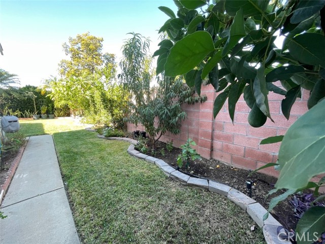 Side yard - garden area