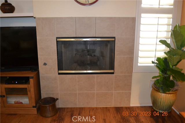 Fireplace in Living Room
